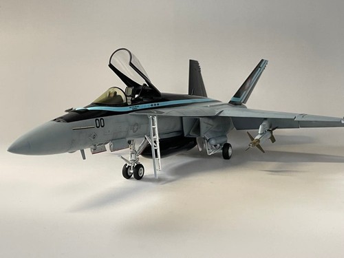 Gebaut bemalt hasegawa - &, 1/48